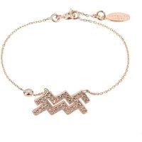 Latelita Women's Zodiac Horoscope Star Sign Bracelet Aquarius in Rose Gold