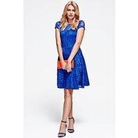 Hot Squash Women's Lace Fit n Flare Dress in Royal | Size: 14