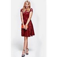 Hot Squash Women's Lace Fit n Flare Dress in Red | Size: 18