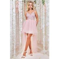 Goddiva Women's High Low Tulle Midi With Lace Bodice in Light Pink | Size: 12