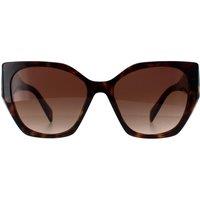Prada Women's Square Havana Brown Gradient PR19ZS