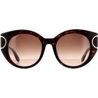 Salvatore Ferragamo Women's Cat Eye Tortoise Brown Gradient Sunglasses