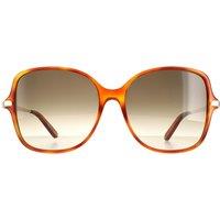 Salvatore Ferragamo Women's Square Tortoise Grey Gradient SF990SR in Brown