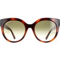 Salvatore Ferragamo Women's Cat Eye Tortoise Green SF1031S in Brown