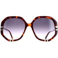 Chloe Women's Square Tortoise Grey Gradient CH0105S in Brown