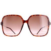 Square Dark Havana Brown Gradient GG1267S