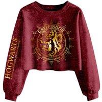 Gryffindor Constellation Acid Wash Crop Sweatshirt