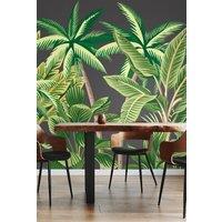 Tropical Palm Trees Wall Mural