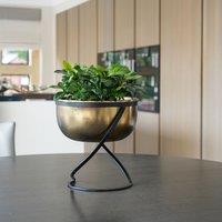 Ivyline Indoor Kensington Brass Metal Round Planter on Stand, H30cm W28cm in Metallics