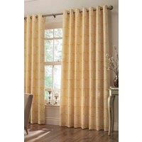 Paoletti Horto Embroidered Botanical Eyelet Curtains in Yellow | Size: 168 cm width x 137 cm drop