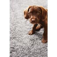 My Mat 'Buddy' Rug in Grey | Size: 100 cm x 150 cm