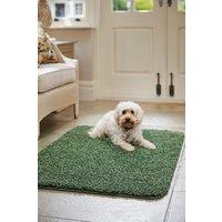 My Mat 'Buddy' Rug in Green | Size: 100 cm x 150 cm