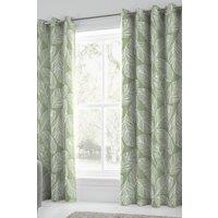 Fusion 'Matteo' 100% Cotton Light Filtering Pair of Eyelet Curtains in Green | Size: 168 cm width x 229 cm drop