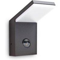 Netlighting Style LED 1 Light Outdoor Wall Light Anthracite IP54 in Black