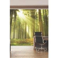 Rainforest Leaves Wall Mural