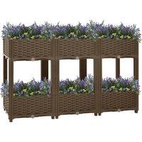 Raised Bed 120x40x71 cm Polypropylene