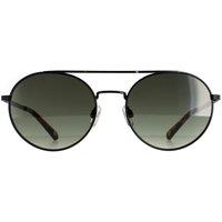 Ted Baker Round Black Grey TB1531 Warner Sunglasses