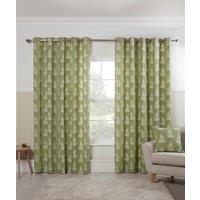 Sundour Esher Fern Leaf Eyelet Curtains in Green | Size: 168 cm width x 137 cm drop
