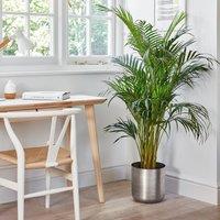 Ivyline Indoor Chelsea Pewter Planter, H28cm x D28cm in Silver