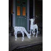 Monstershop Large Light Up Stag & Doe Reindeer Set in White