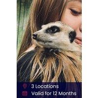 Activity Superstore Meerkat Encounter for Two Gift Experience
