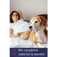 Activity Superstore Dog Friendly Hotel Stays Gift Experience