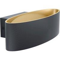 Loops Wall Light Colour Black Gold Shade Oval Transparent Plastic LED 10W Included