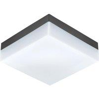Loops IP44 Outdoor Wall Light Anthracite Plastic 8.2W Built in LED Porch Lamp