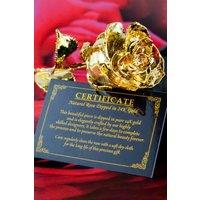 Mikamax 24k Gold Rose
