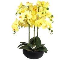 Leaf Artificial 60cm Orchid Yellow Black Ceramic Planter in Green