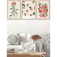 ARTZE Set of 3 Oak Framed Vintage Graphical Orange Flower Market Wall Art | Size: W45 cm x H62 cm x D20mm