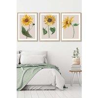 ARTZE Set of 3 Oak Framed Vintage Sunflowers on Beige Wall Art in Bright Yellow | Size: W33 cm x H45 cm x D20mm