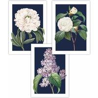 ARTZE Set of 3 Vintage Flowers Lilac, Peony & Camellia on Navy Blue Art Posters | Size: W50 cm x H70 cm