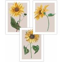 ARTZE Set of 3 Vintage Sunflowers on Beige Art Posters in Bright Yellow | Size: W59 cm x H84 cm