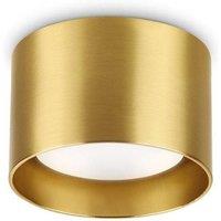 Netlighting Spike Round Surface Mounted Downlight Brass in Yellow