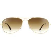 Ray-Ban Aviator Gold Brown Gradient Sunglasses