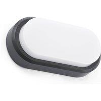 Netlighting Fred LED Outdoor Wall Light White Dark Grey IP65