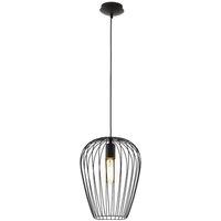 Eglo Newtown Metal 1 Light Ceiling Fitting in Black