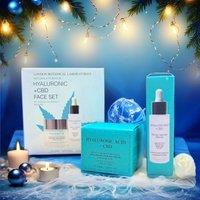 CBD thc free Hyaluronic Anti-Aging Face Set (Moisturiser + Serum) BFG