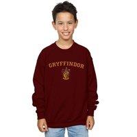 Harry Potter Boy's Gryffindor Crest Sweatshirt in Burgundy | Size: 12-13 Years