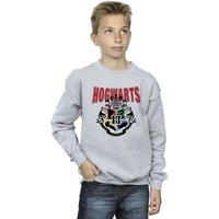 Harry Potter Boy's Hogwarts Emblem Sweatshirt in Grey | Size: 5-6 Years