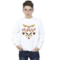 Harry Potter Boy's Quidditch Golden Snitch Sweatshirt in White | Size: 3-4 Years