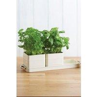 Living Nostalgia Antique Cream Herb Pots with Tray