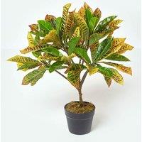 Homescapes Rushfoil' Artificial Croton Plant with Pot, 65 cm in Green