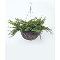 Homescapes Boston Fern Artificial Hanging Basket, 65 cm in Green