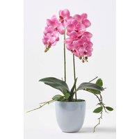 Homescapes Luxury Artificial Orchid in Ceramic Pot, 54 cm, Pink