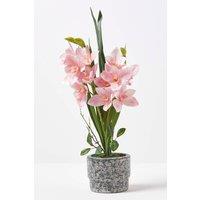 Homescapes Pink Orchid 58 cm Cymbidium in Cement Pot Extra Large, 2 Stems
