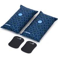 Hillington Reusable Car Dehumidifier - 2Pack 1kg Moisture Absorber with Anti-Slip Mat in Blue