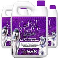 Pretty Pooch Pet Carpet Shampoo Lavender Fragrance Odour Neutralising 3 x 5L in Purple