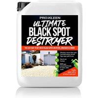 ProKleen Ultimate Black Spot Remover Destroyer Patio Cleaner 1 x 5L in Clear
